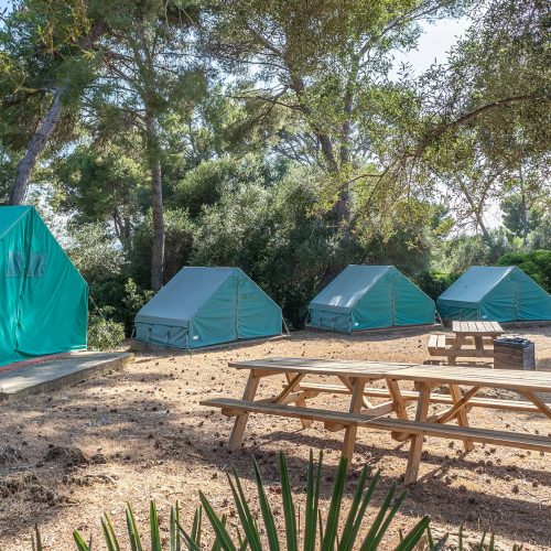 tendes-al-bosc-campament-la-victoria