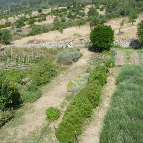 Hort granja escola Es Burotell